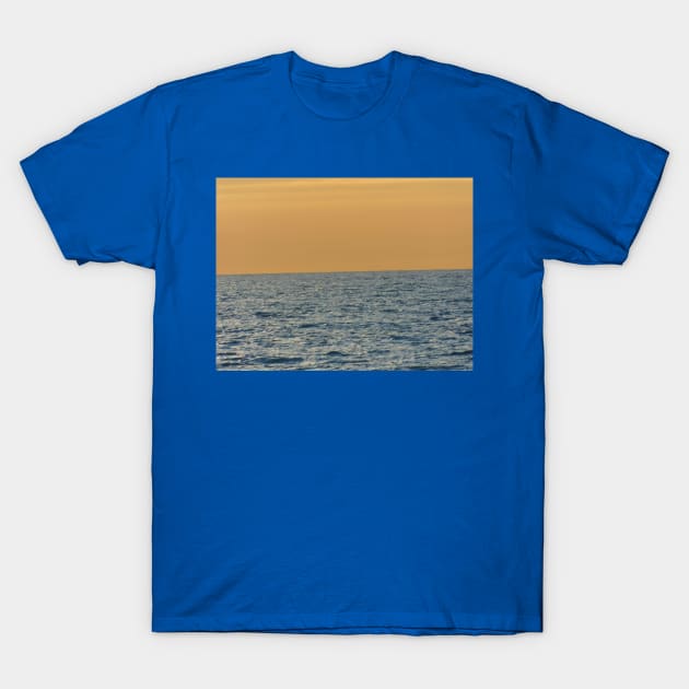 Serenity T-Shirt by FriendlyComputerHelp